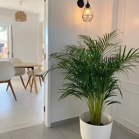 Charming Villa, - Pool - No Need For Car Villa *